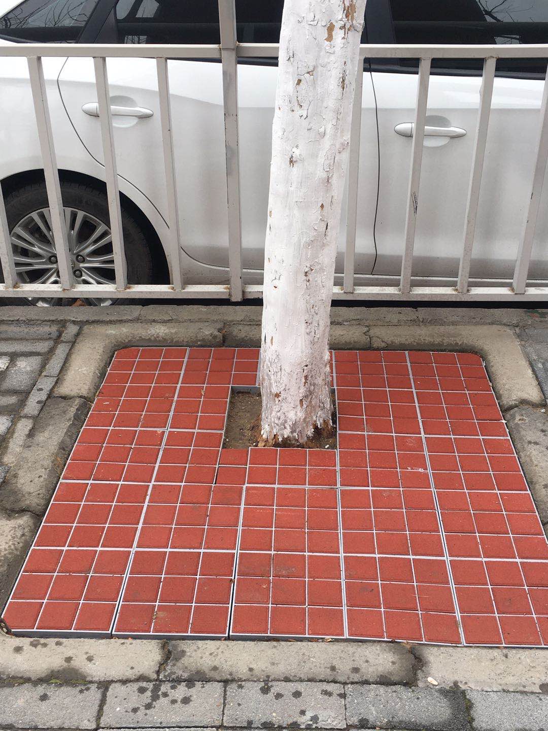 1602491292373107.jpg